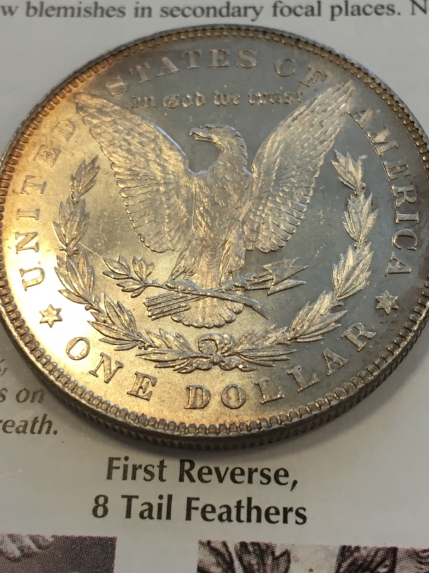 1878-7TF-REV-Of-78-Morgan-Dollar-Grade